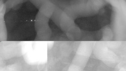 Areál koupaliště Holešov