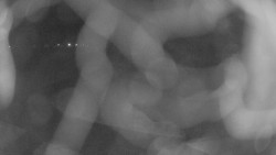 Areál koupaliště Holešov