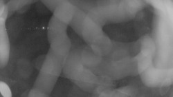 Areál koupaliště Holešov