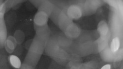 Areál koupaliště Holešov