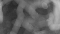 Areál koupaliště Holešov