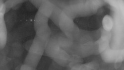 Areál koupaliště Holešov