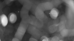 Areál koupaliště Holešov