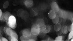 Areál koupaliště Holešov