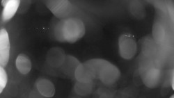 Areál koupaliště Holešov