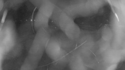 Areál koupaliště Holešov