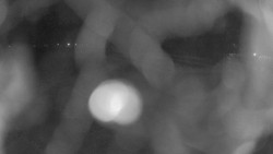 Areál koupaliště Holešov