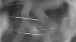 Areál koupaliště Holešov