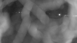 Areál koupaliště Holešov