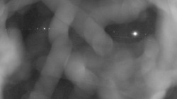 Areál koupaliště Holešov