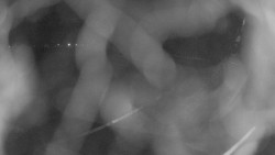 Areál koupaliště Holešov