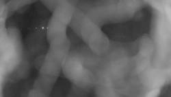 Areál koupaliště Holešov