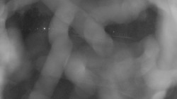 Areál koupaliště Holešov