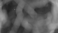 Areál koupaliště Holešov