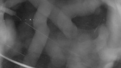 Areál koupaliště Holešov