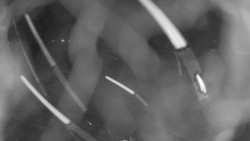 Areál koupaliště Holešov