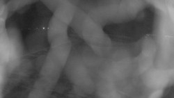 Areál koupaliště Holešov