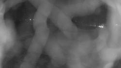 Areál koupaliště Holešov