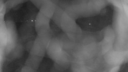 Areál koupaliště Holešov