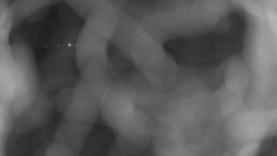 Areál koupaliště Holešov