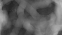 Areál koupaliště Holešov