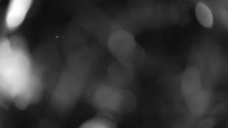 Areál koupaliště Holešov