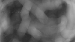 Areál koupaliště Holešov