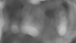 Areál koupaliště Holešov