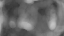 Areál koupaliště Holešov