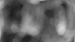 Areál koupaliště Holešov