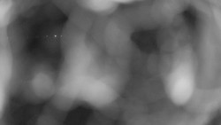 Areál koupaliště Holešov