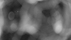 Areál koupaliště Holešov