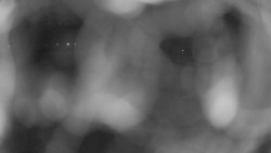 Areál koupaliště Holešov