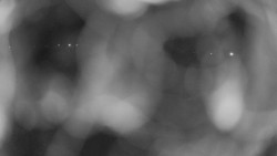 Areál koupaliště Holešov