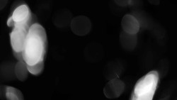 Areál koupaliště Holešov