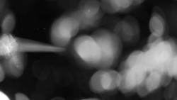 Areál koupaliště Holešov