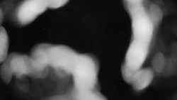 Areál koupaliště Holešov