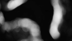 Areál koupaliště Holešov