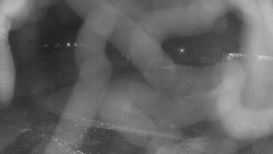 Areál koupaliště Holešov