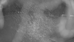 Areál koupaliště Holešov