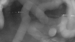 Areál koupaliště Holešov