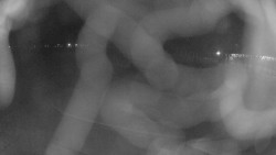 Areál koupaliště Holešov