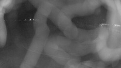 Areál koupaliště Holešov