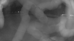 Areál koupaliště Holešov