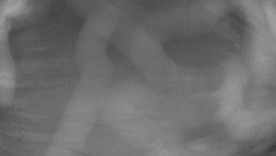 Areál koupaliště Holešov