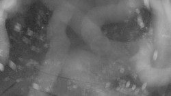 Areál koupaliště Holešov