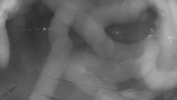 Areál koupaliště Holešov