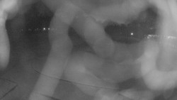 Areál koupaliště Holešov