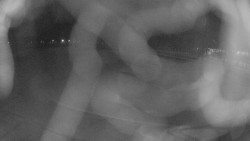 Areál koupaliště Holešov