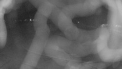 Areál koupaliště Holešov